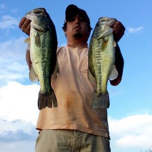 Meet your Posher, Levi